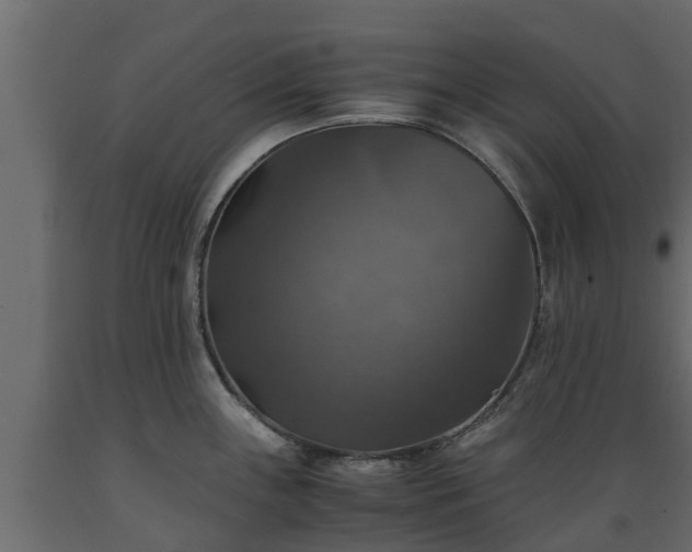X0000089921243200707061013