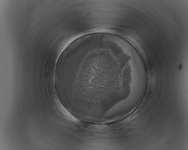 X0000089921244200707061013