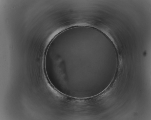 X0000089921245200707061013