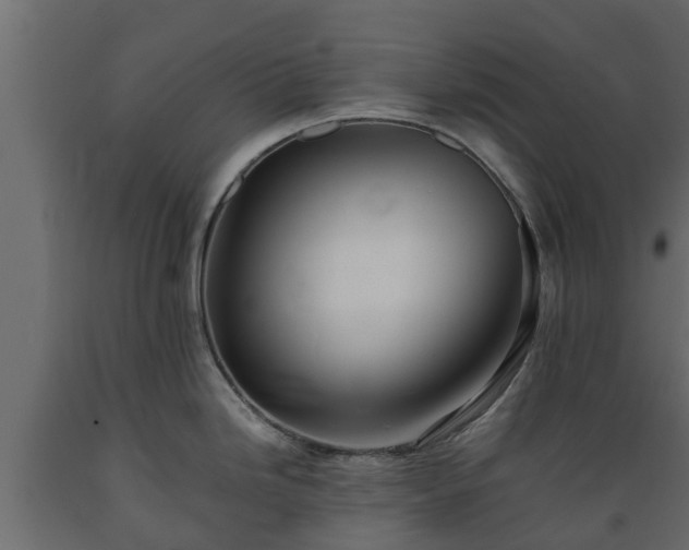X0000089921246200707061013