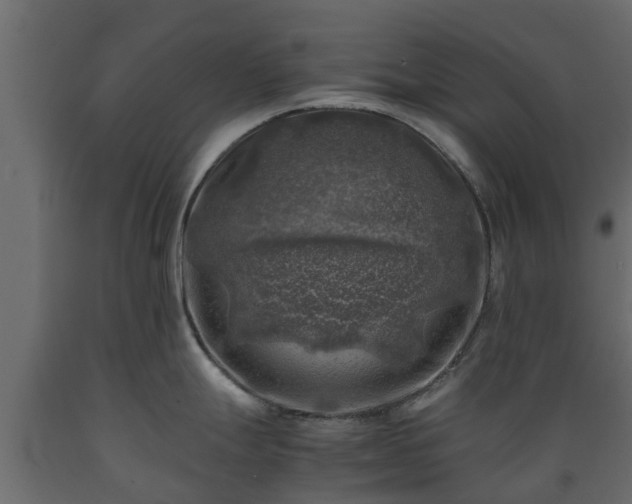 X0000089921247200707061013
