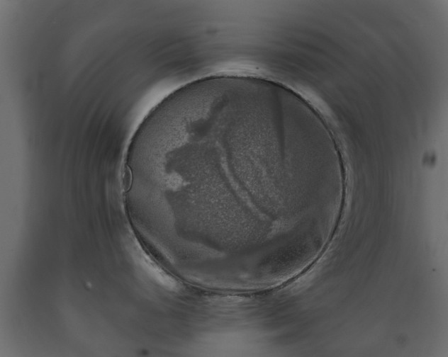 X0000089921248200707061013