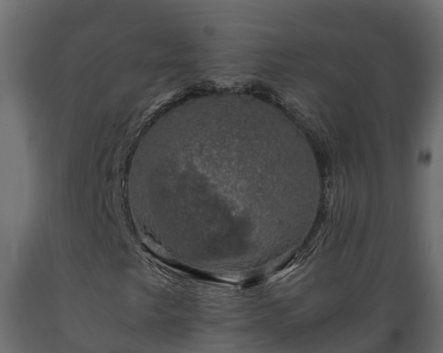 X0000089921249200707061012