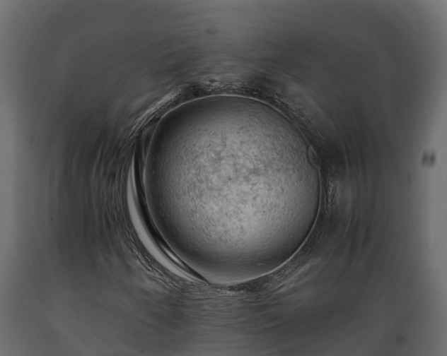 X0000089921250200707061012