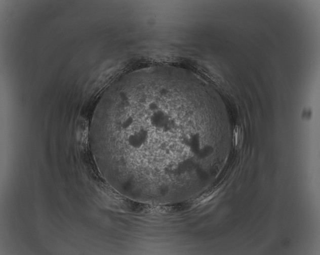 X0000089921251200707061012