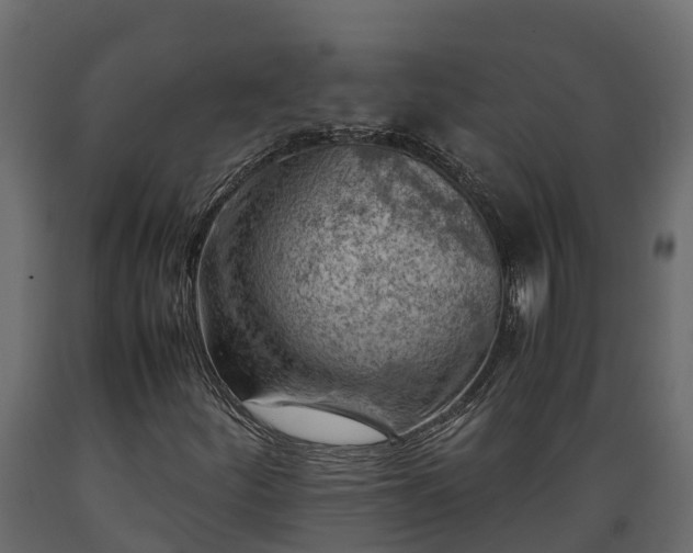 X0000089921252200707061012
