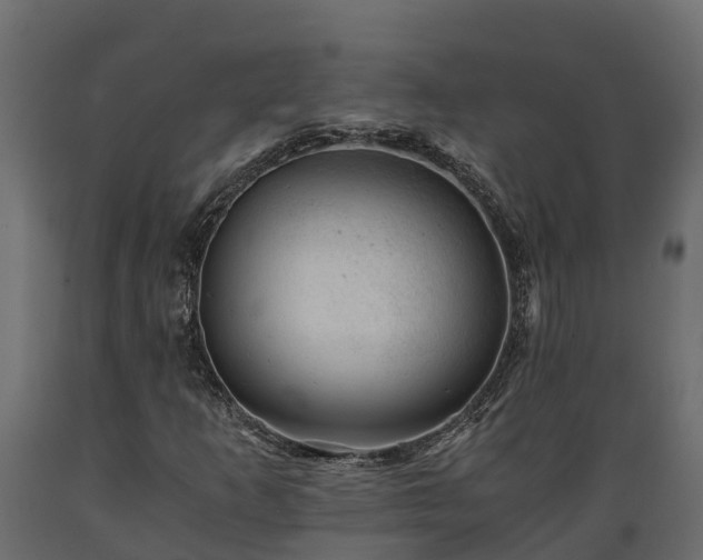 X0000089921253200707061012