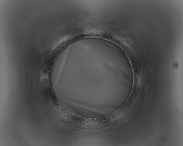 X0000089921254200707061012