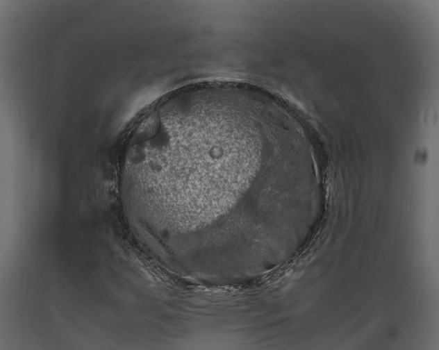 X0000089921255200707061012