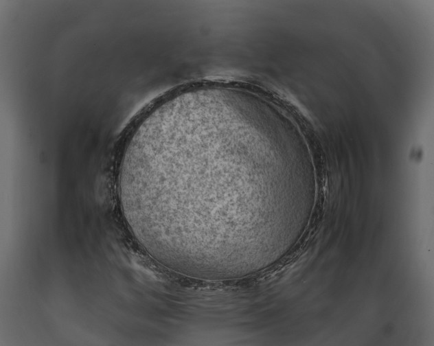 X0000089921256200707061012
