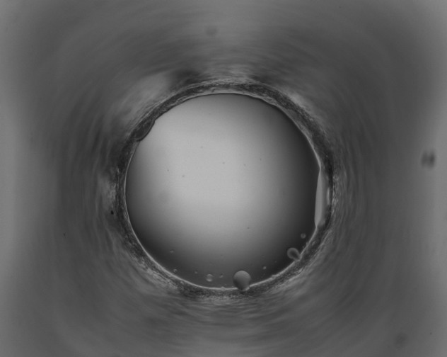 X0000089921257200707061012