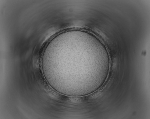 X0000089921258200707061012