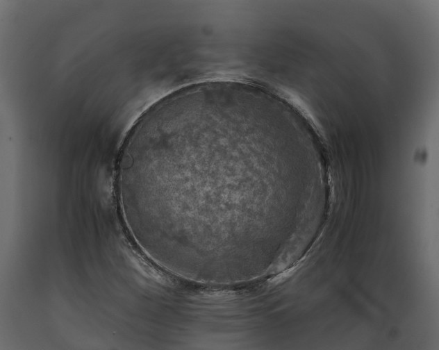 X0000089921260200707061012