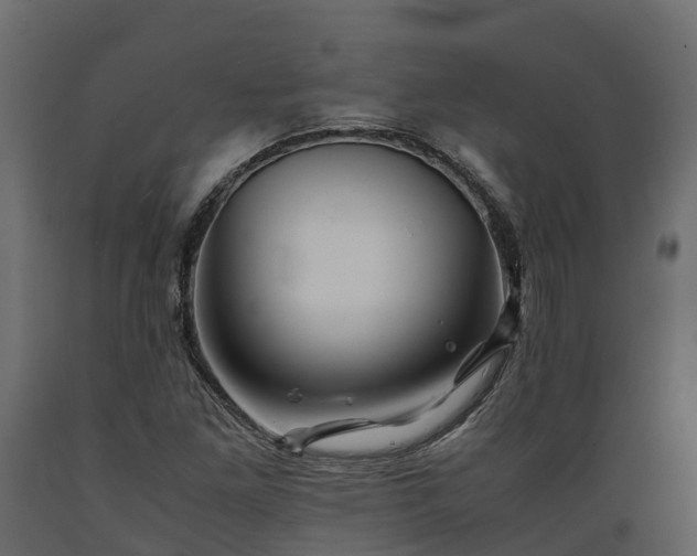 X0000089921261200707061012