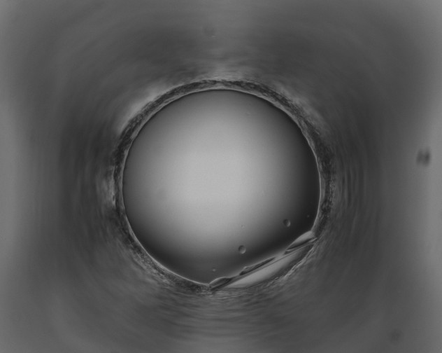 X0000089921262200707061012