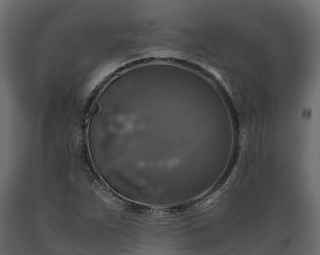 X0000089921263200707061012