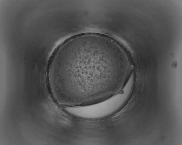 X0000089921264200707061012