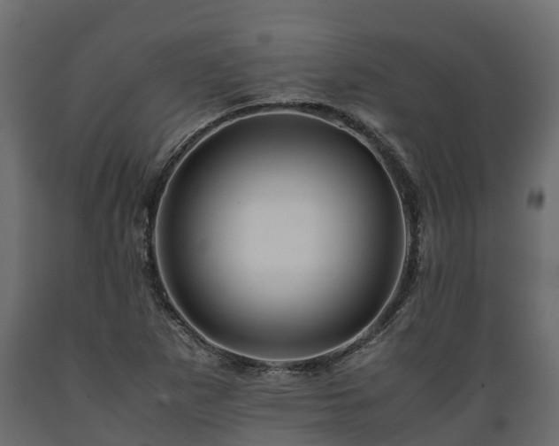 X0000089921265200707061012