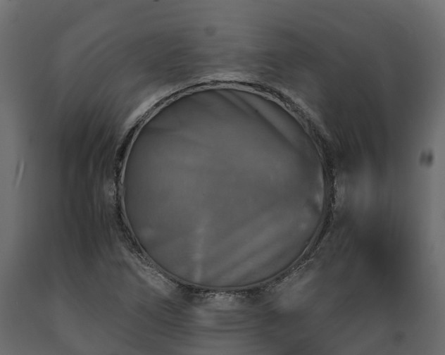 X0000089921266200707061012