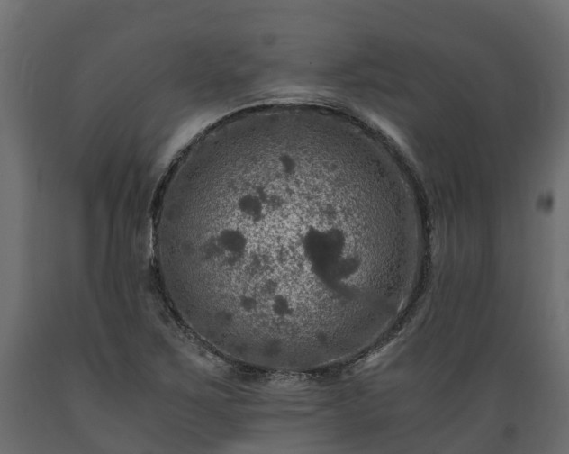 X0000089921267200707061012