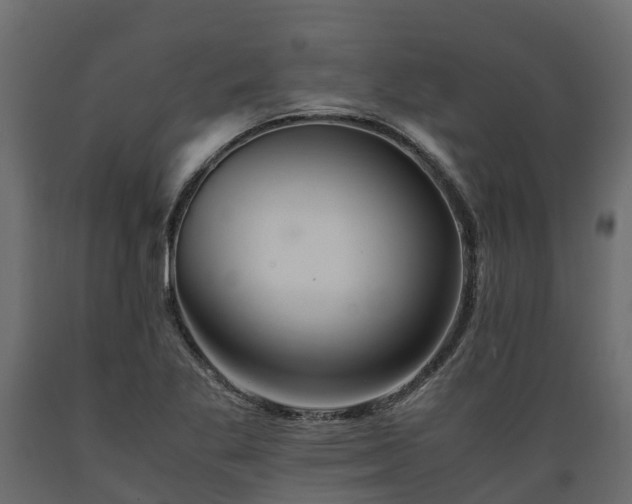 X0000089921269200707061012