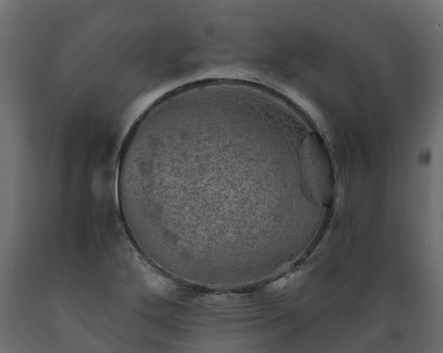 X0000089921272200707061012