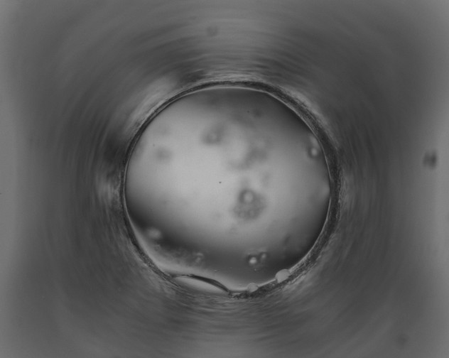 X0000089921273200707061012