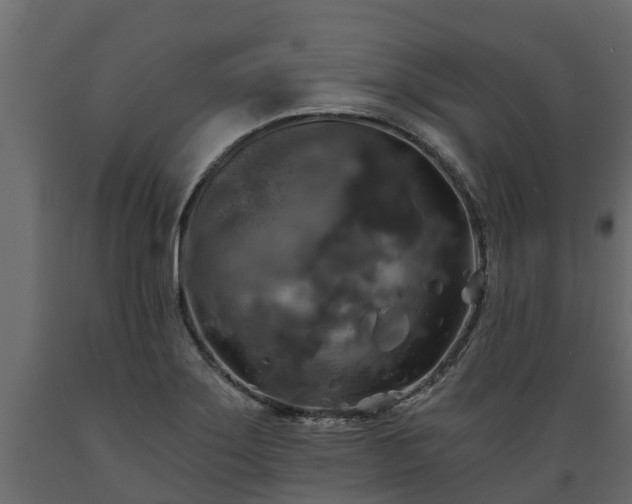 X0000089921275200707061012