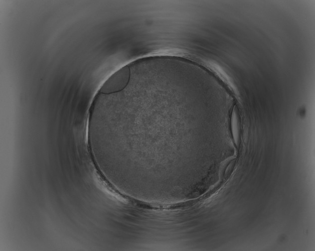 X0000089921276200707061012