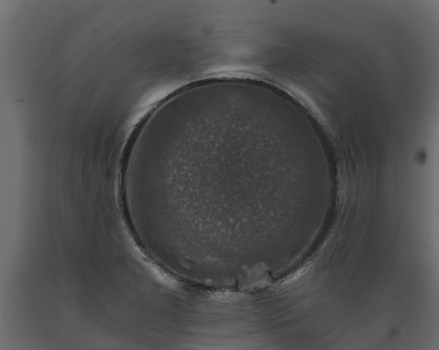 X0000089921277200707061012