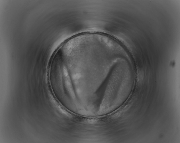 X0000089921278200707061012