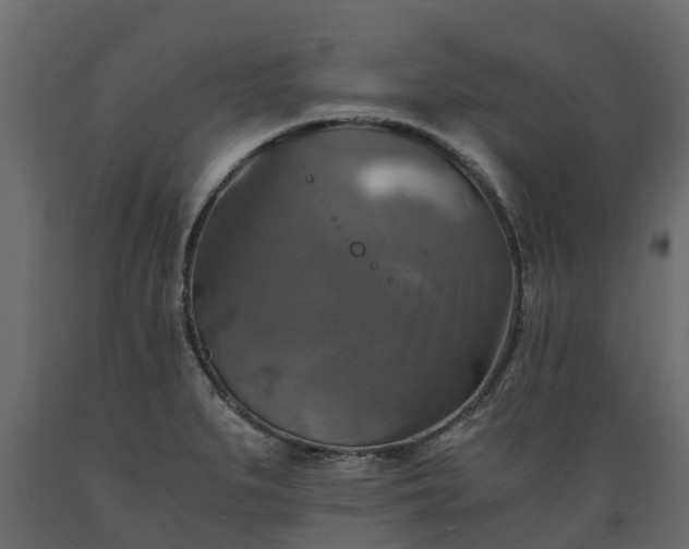 X0000089921279200707061012