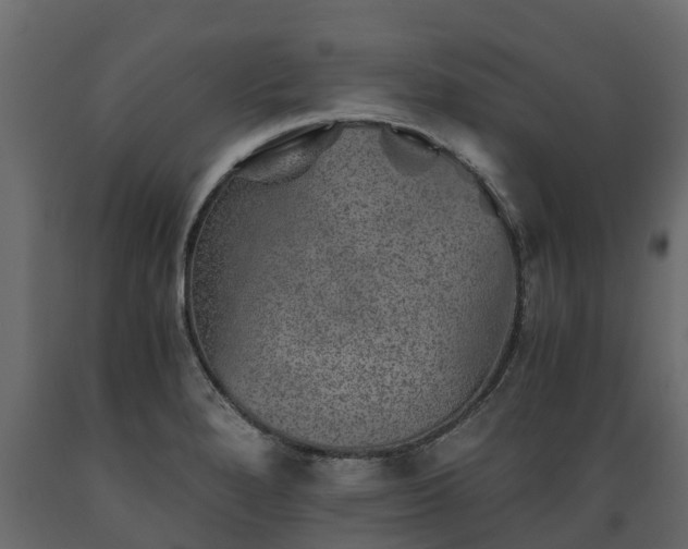 X0000089921280200707061012