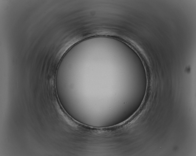 X0000089921281200707061012