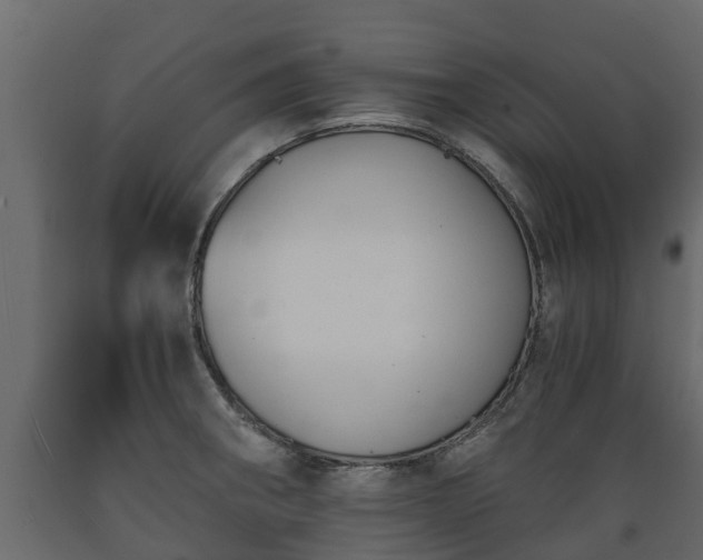 X0000089921282200707061012