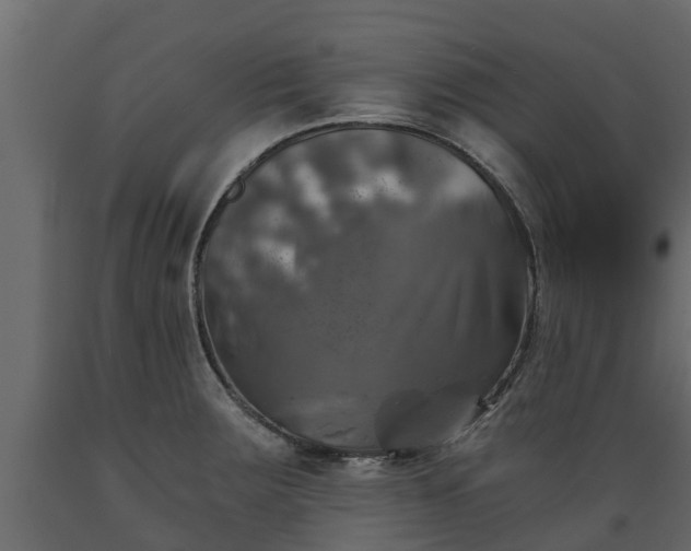 X0000089921283200707061012