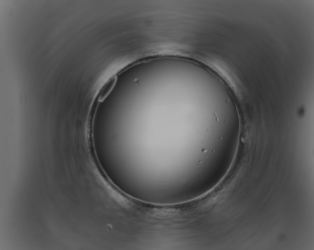 X0000089921285200707061012