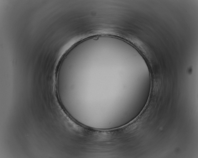 X0000089921286200707061012