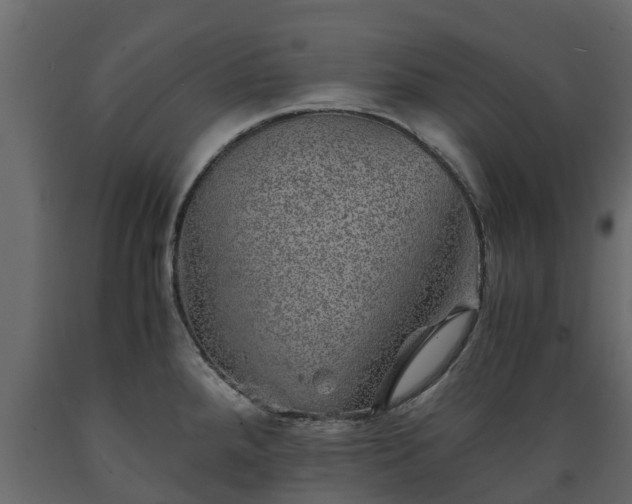 X0000089921288200707061012