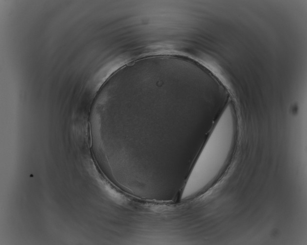 X0000089921289200707061012