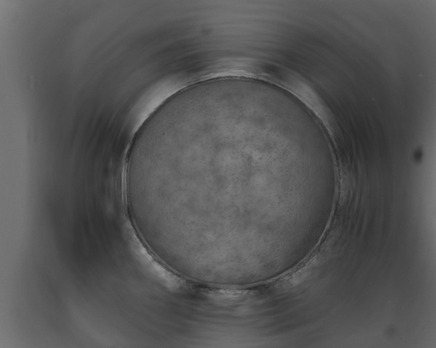 X0000089921290200707061012
