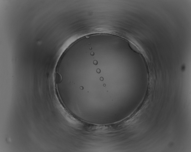 X0000089921291200707061012
