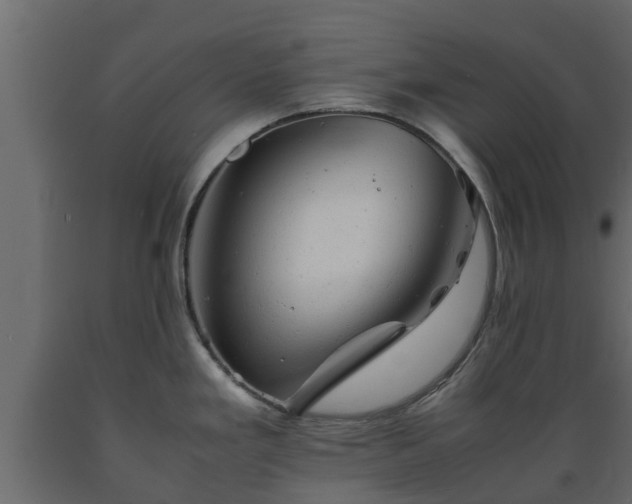X0000089921293200707061011