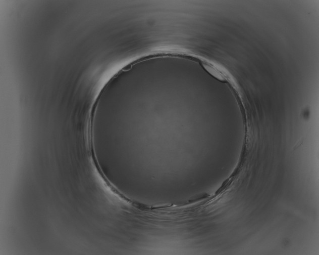 X0000089921295200707061011