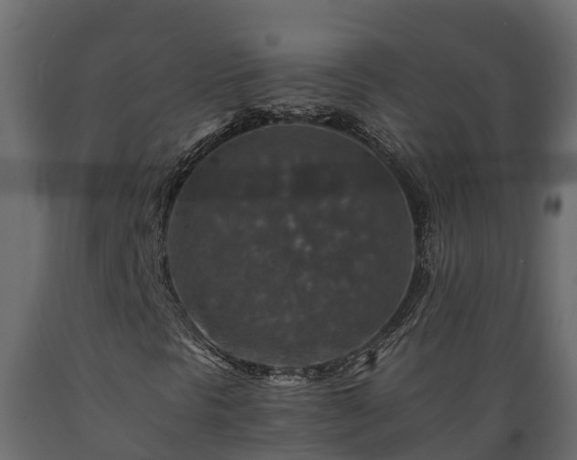 X0000089921297200707061011