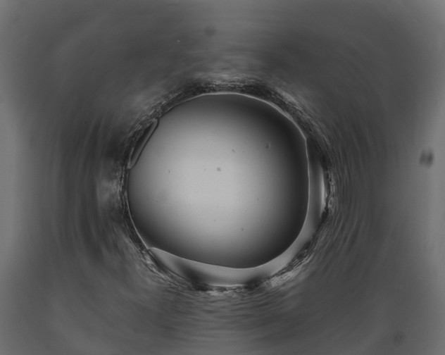 X0000089921300200707061011