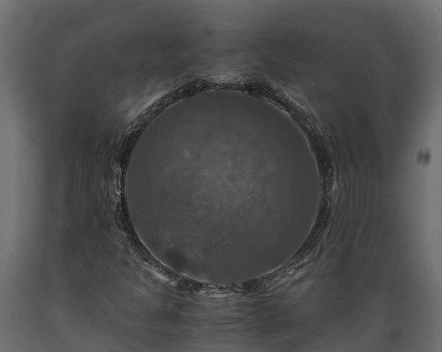 X0000089921301200707061011