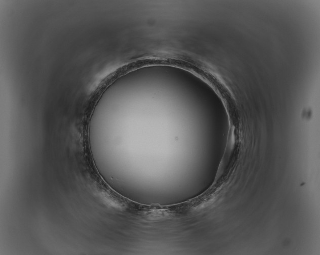 X0000089921304200707061011
