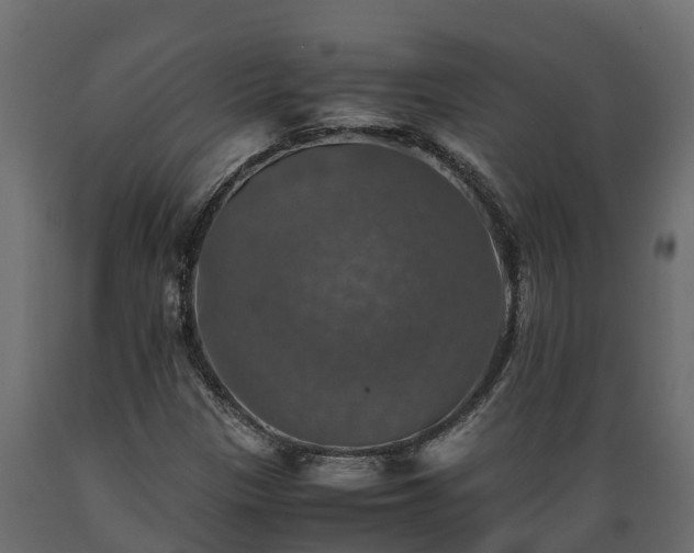 X0000089921305200707061011