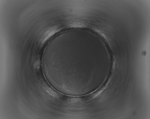 X0000089921306200707061011